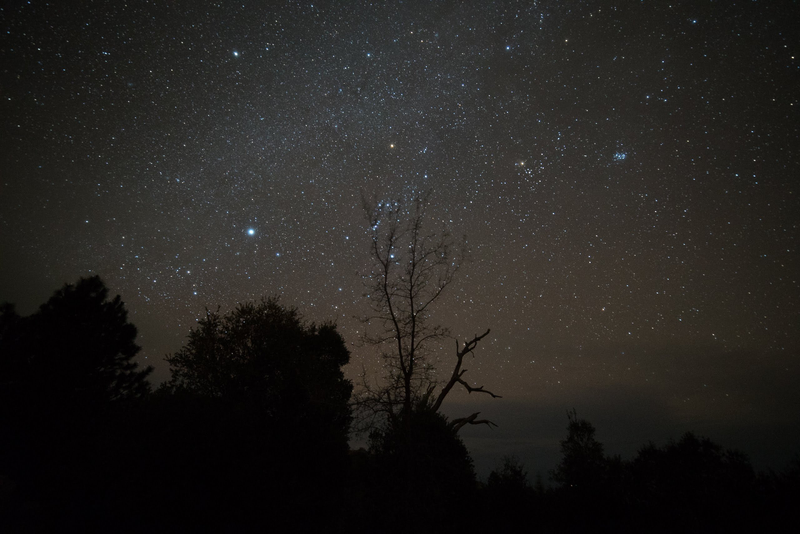 Sony A7S: 25 seconds, f/2.8, ISO 6400, unedited image.